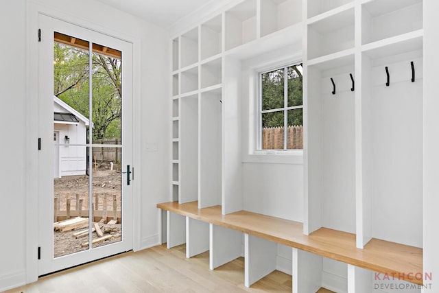 mudroom featuring a healthy amount of sunlight and light hardwood / wood-style floors