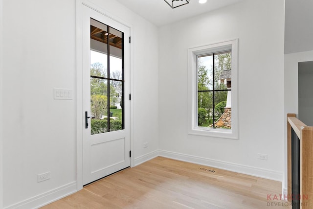 doorway featuring light hardwood / wood-style flooring and plenty of natural light