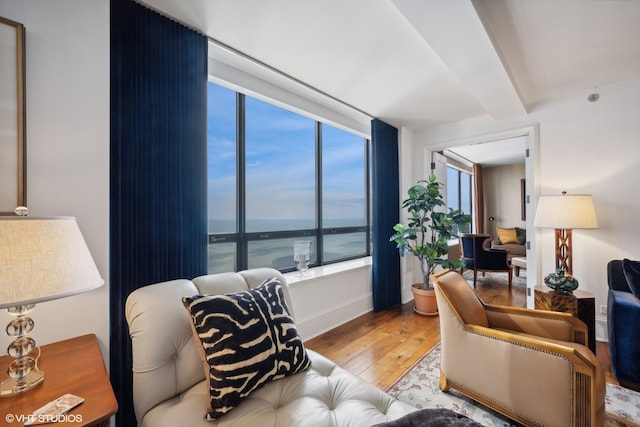 living room with a water view and light hardwood / wood-style floors