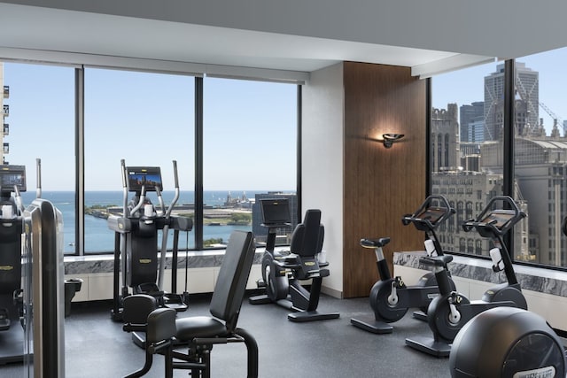 gym featuring a water view and a wealth of natural light