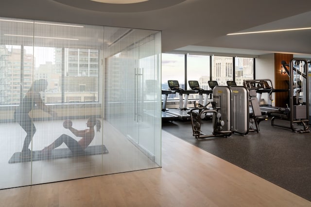 workout area featuring dark hardwood / wood-style flooring