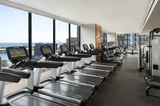 exercise room featuring expansive windows