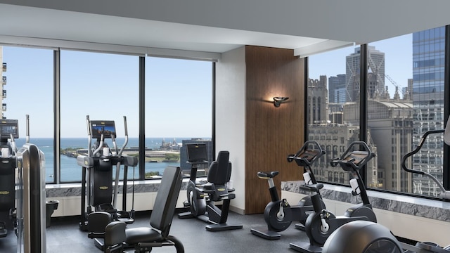 exercise room with a water view and a healthy amount of sunlight