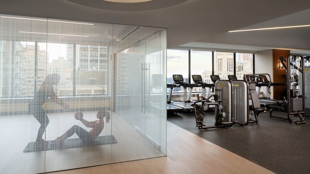 exercise room with wood-type flooring