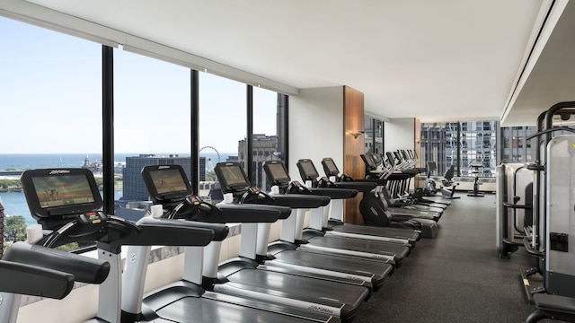 exercise room featuring expansive windows