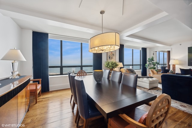 dining space featuring a water view, light hardwood / wood-style floors, and a wealth of natural light