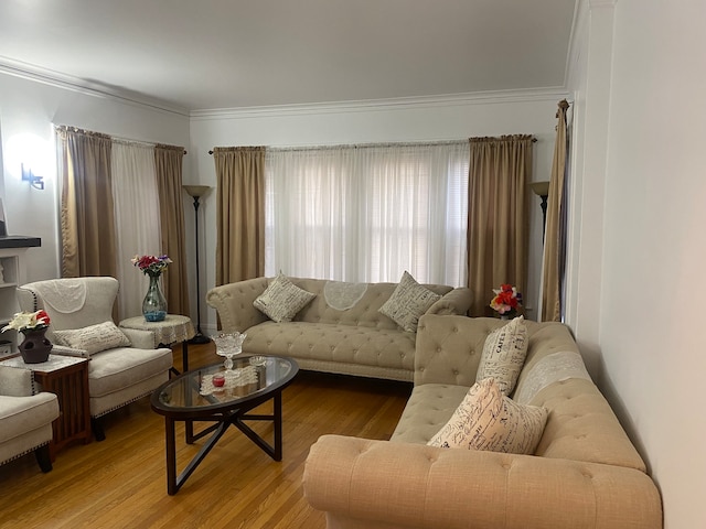 living room featuring ornamental molding and light wood-type flooring