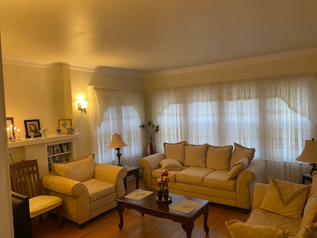 living room with crown molding and hardwood / wood-style flooring