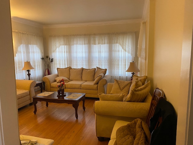 living room featuring ornamental molding, a healthy amount of sunlight, and light wood-type flooring