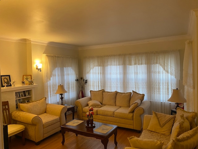 living room featuring crown molding and hardwood / wood-style floors