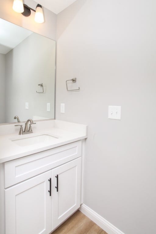 bathroom with hardwood / wood-style flooring and vanity