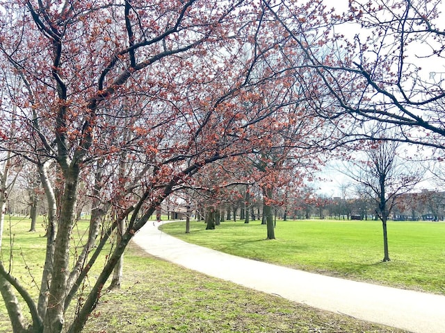 view of nearby features featuring a yard