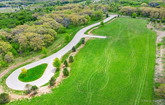 4311 Red Tail Ln, Johnsburg, IL 60051