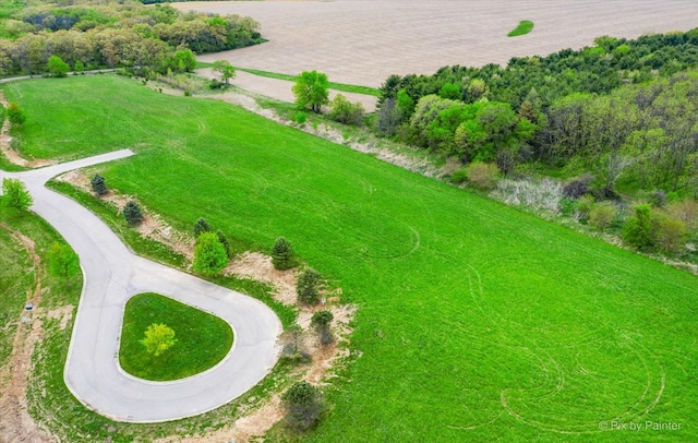 4311 Red Tail Ln, Johnsburg, IL 60051