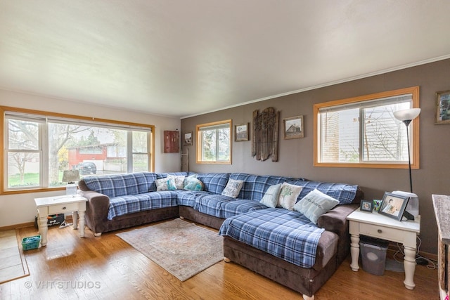 living area with wood finished floors, plenty of natural light, ornamental molding, and baseboards
