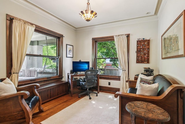 412 Pleasant St, Oak Park, IL 60302 - office with wood finished floors, plenty of natural light, radiator, and crown molding