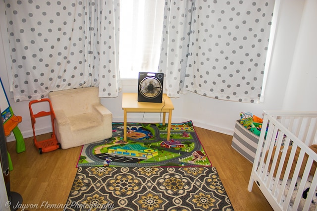 game room featuring wood-type flooring