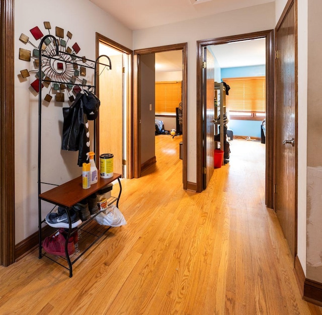 39 Mill Pond Dr, Glendale Heights, IL 60139 - hall with light wood-type flooring and baseboards