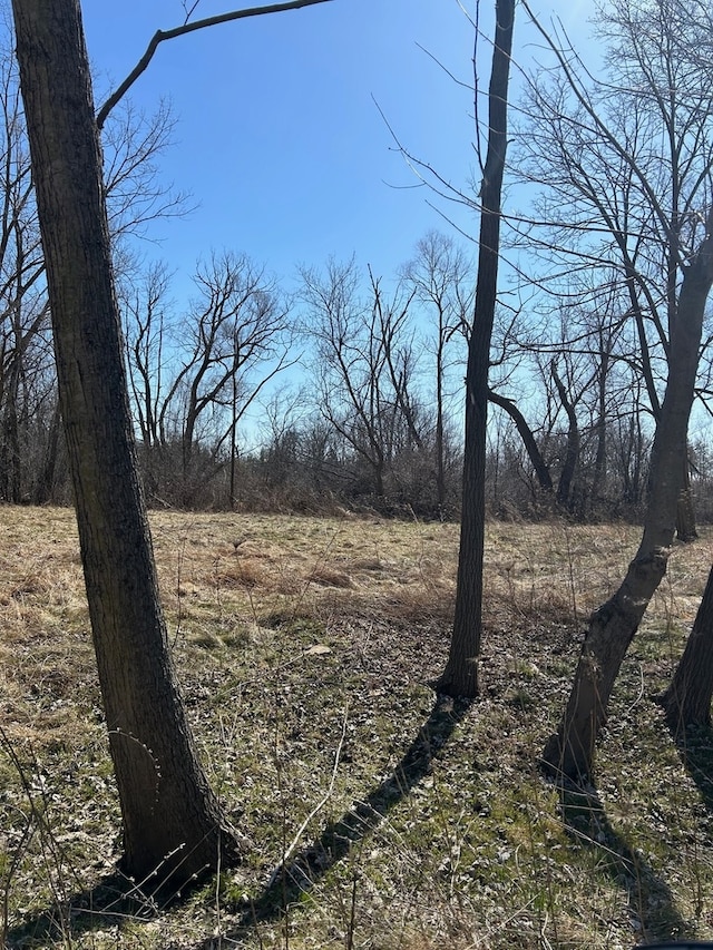 0 Park Ave, Wauconda IL, 60084 land for sale