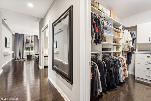 spacious closet with dark hardwood / wood-style flooring