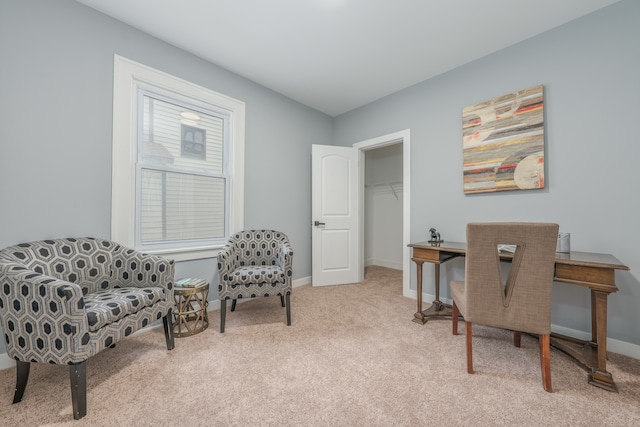 office with light colored carpet