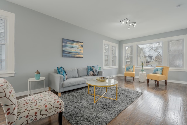 living room with a chandelier, hardwood / wood-style flooring, and track lighting