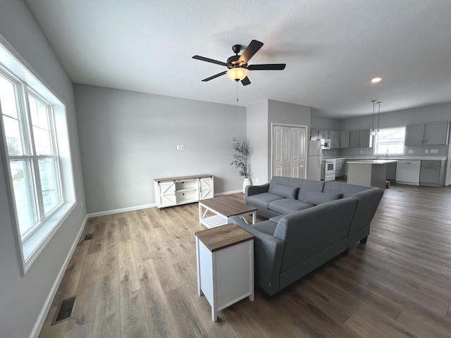 living room with hardwood / wood-style flooring, a textured ceiling, ceiling fan, and sink