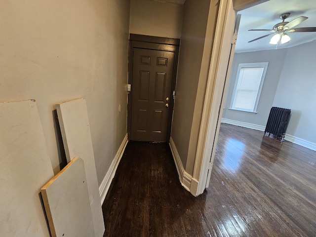 hallway featuring dark wood-type flooring