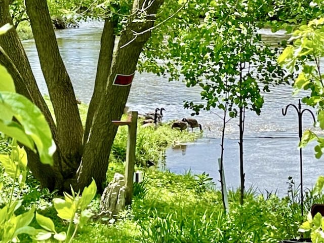 view of water feature