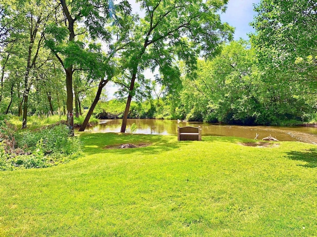 view of yard featuring a forest view and a water view