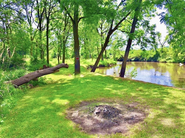 view of yard featuring a water view and a forest view