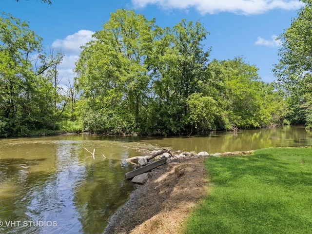 water view featuring a view of trees