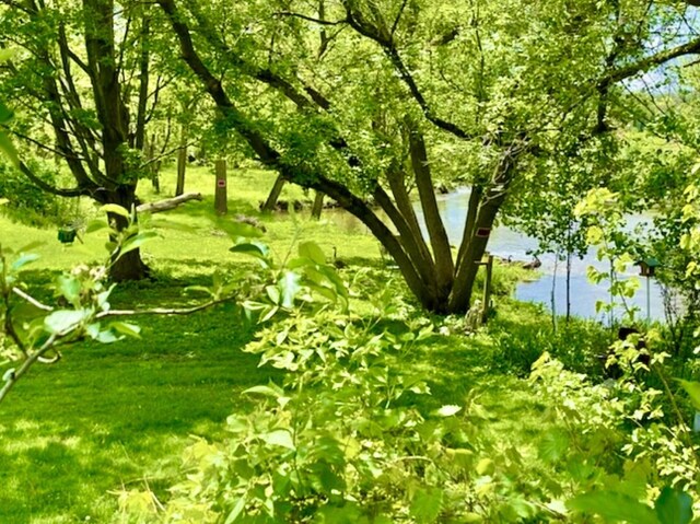 view of local wilderness with a water view