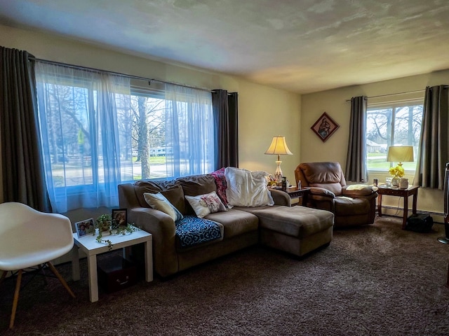 living room with dark colored carpet