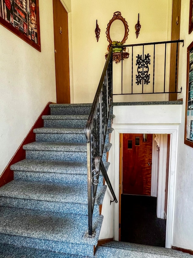 staircase featuring carpet floors