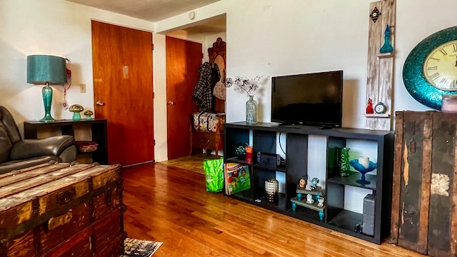 living room featuring hardwood / wood-style flooring