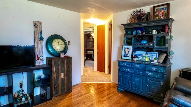 living room featuring ceiling fan and light wood-type flooring