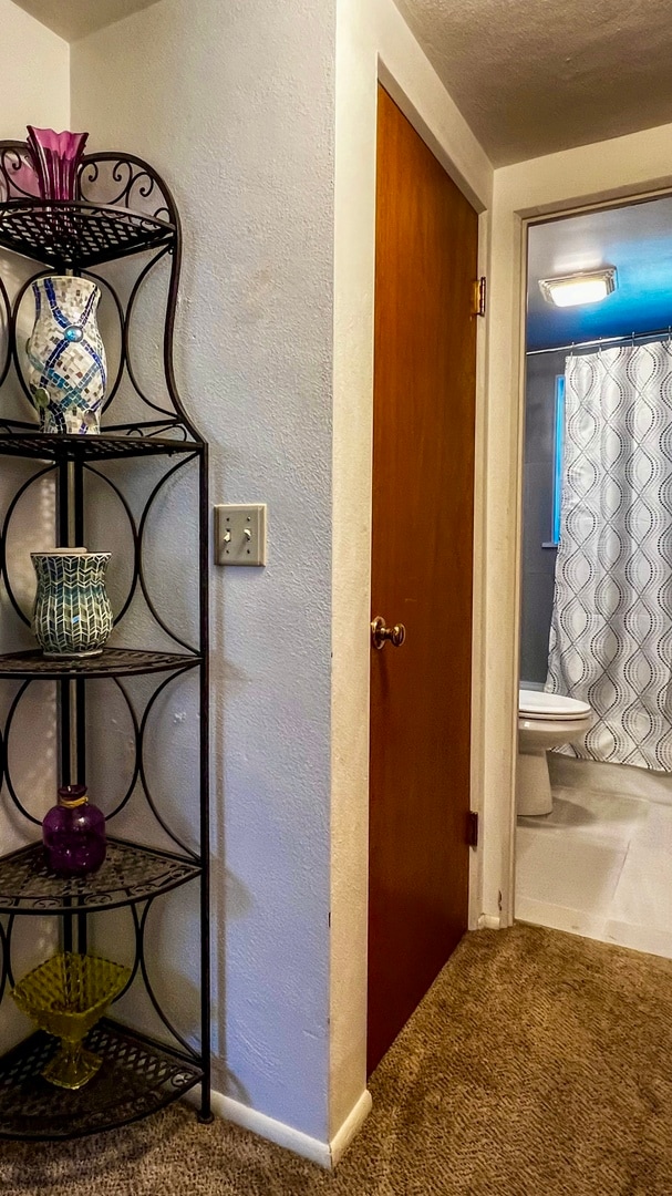 hallway featuring a textured ceiling and carpet floors