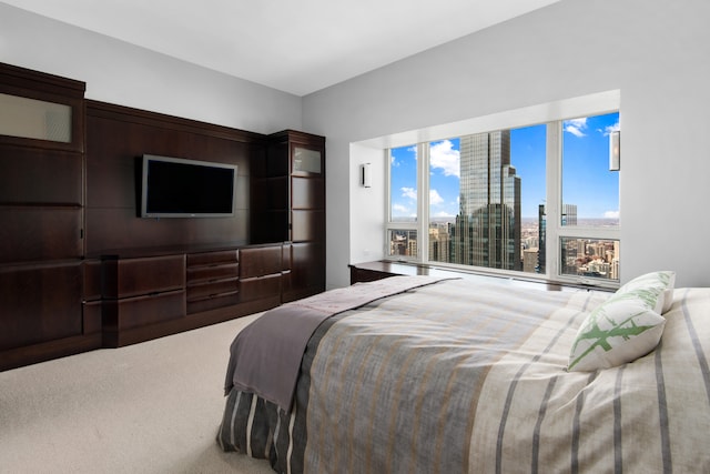 bedroom featuring carpet floors