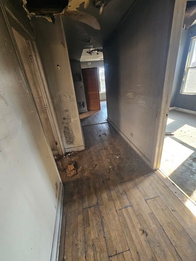 hallway featuring dark hardwood / wood-style flooring