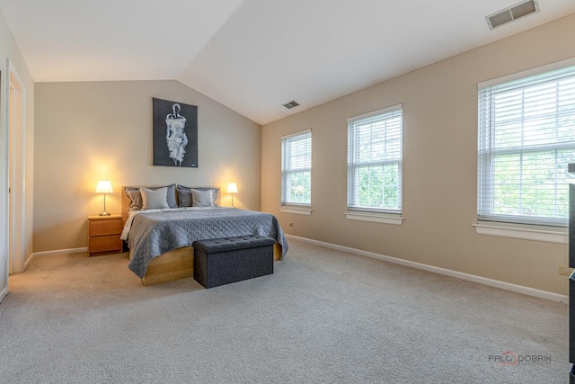 1405 Apricot Ct Unit D, Mount Prospect, IL 60056 - bedroom featuring multiple windows, light carpet, baseboards, and vaulted ceiling