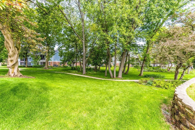1405 Apricot Ct Unit D, Mount Prospect, IL 60056 - view of grassy yard