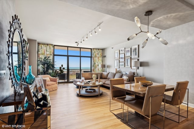 dining space with rail lighting, light hardwood / wood-style floors, and expansive windows