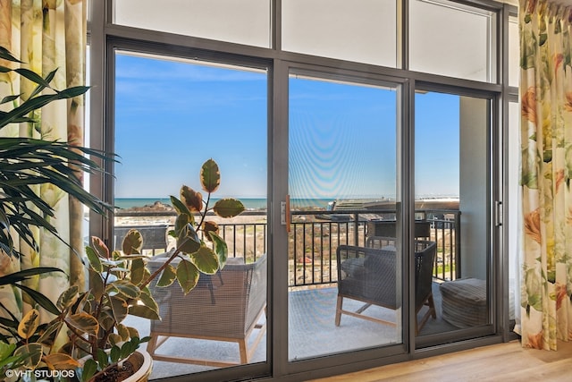 entryway with a water view and light hardwood / wood-style flooring