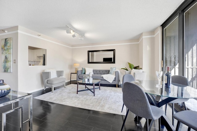 living room featuring a textured ceiling and track lighting