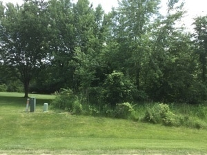 Listing photo 2 for LOT4 Williams Cir, Genoa IL 60135