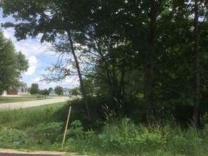 Listing photo 3 for LOT4 Williams Cir, Genoa IL 60135