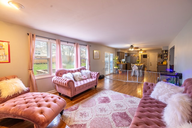 living room with hardwood / wood-style floors and ceiling fan