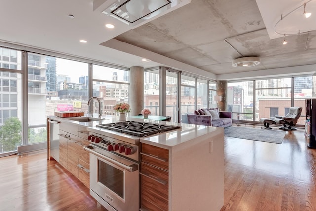 kitchen featuring a kitchen island with sink, a city view, stainless steel appliances, open floor plan, and light countertops