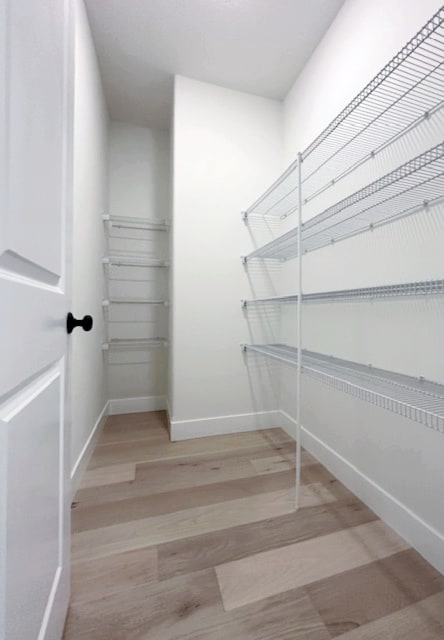 spacious closet featuring light hardwood / wood-style flooring